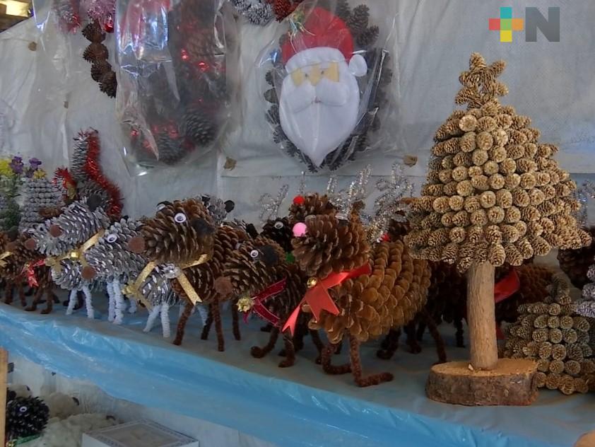 Artesanos de Toxtlacoaya realizan adornos navideños con recursos naturales