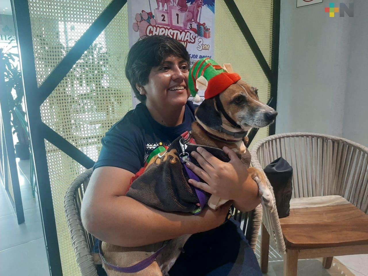 Productos pirotécnicos, una preocupación para dueños de mascotas