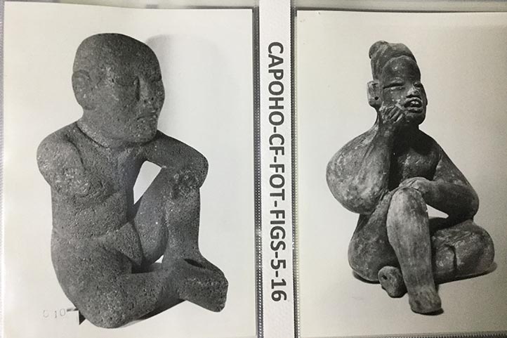 Archivo fotográfico de la USBI-Xalapa, a disposición del público