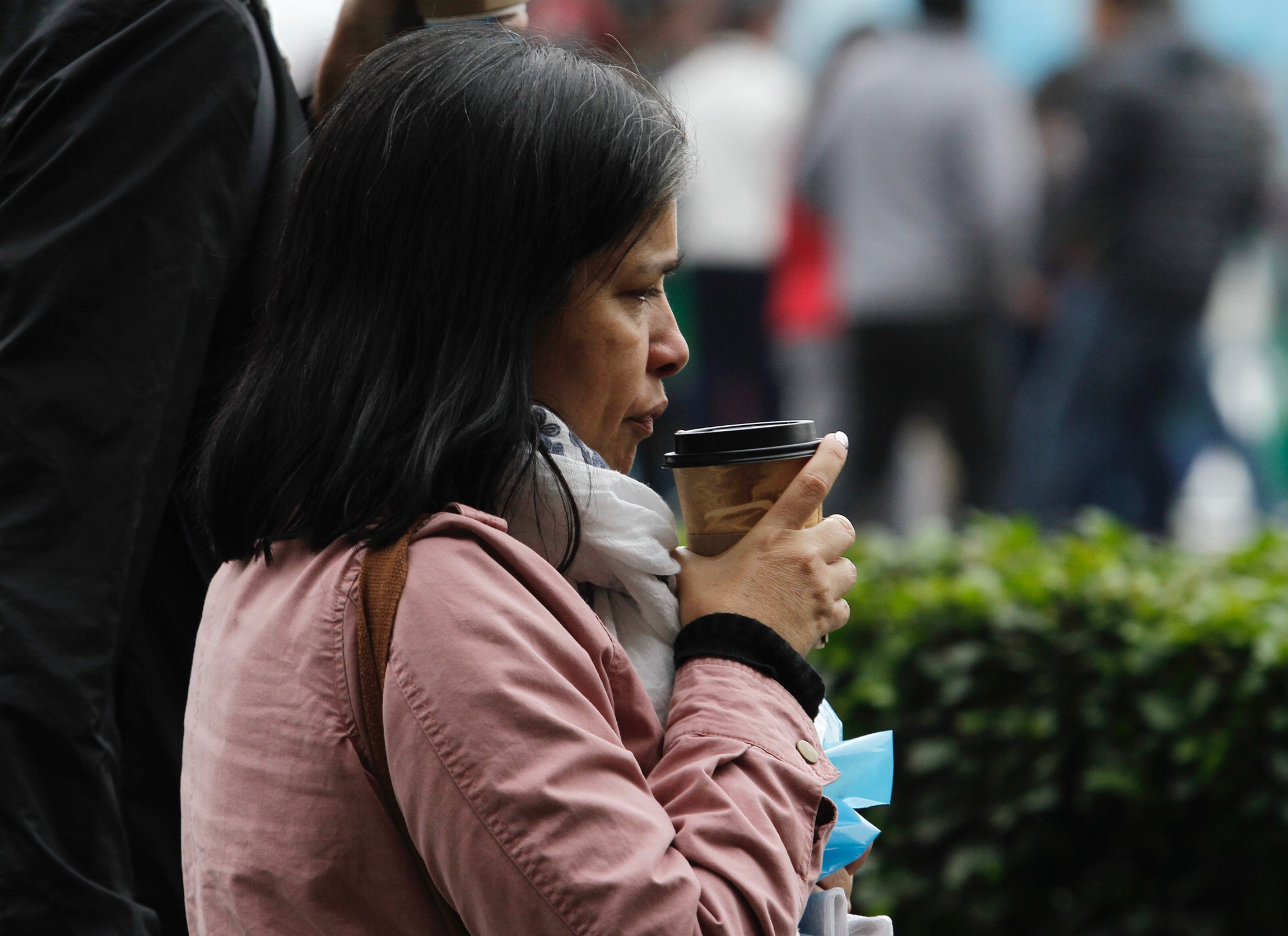 Ambiente fresco a frío en la entidad veracruzana