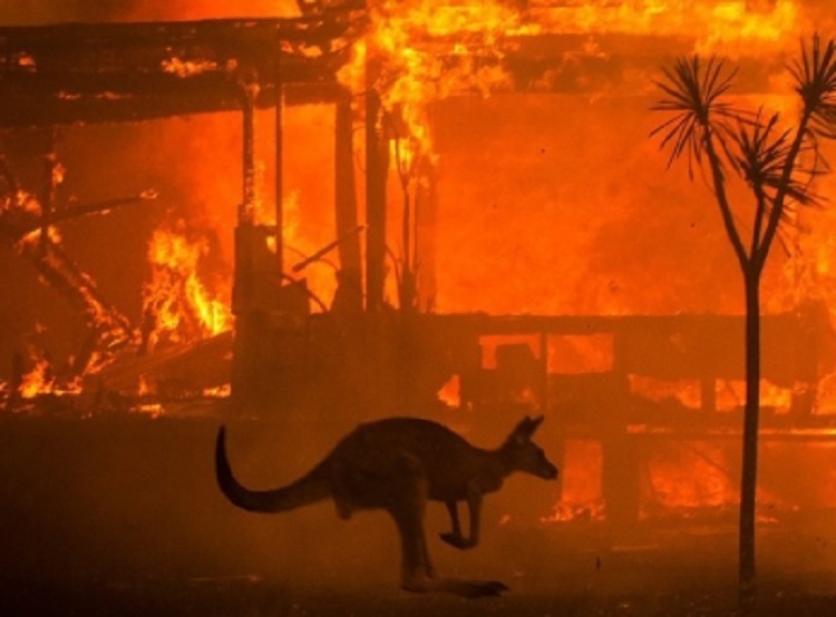Australia, en riesgo ante nueva onda de calor