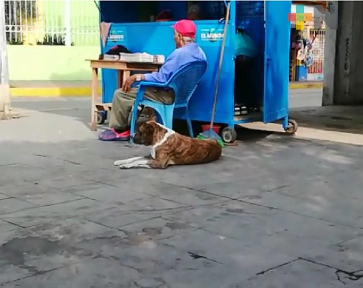 Ayuntamiento de Omealca creará reglamento de  protección y bienestar animal