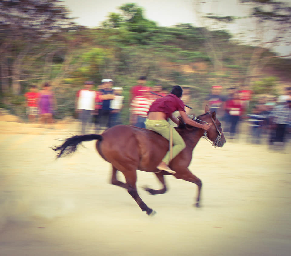 Carreras de caballos en Moloacán