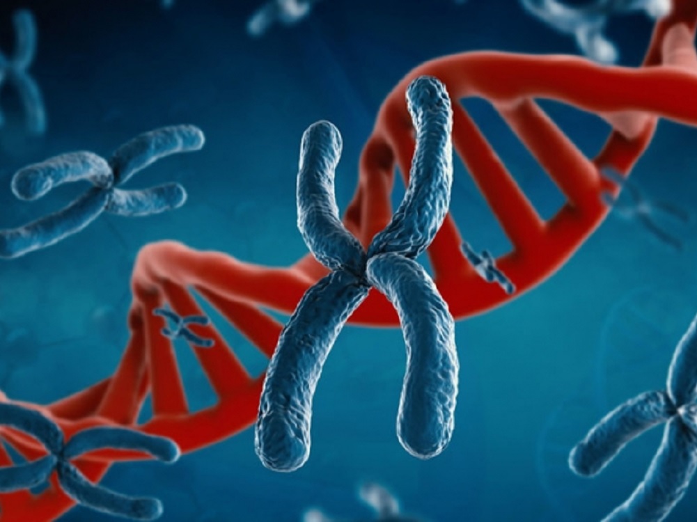 Edición genética, campo nuevo de la medicina preventiva