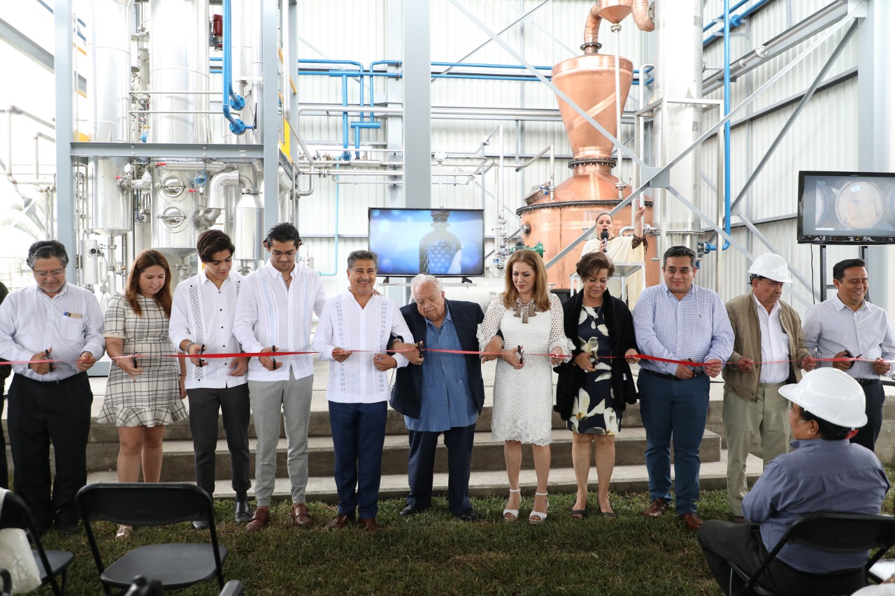 Caña veracruzana será utilizada para la producción de ron de alta calidad