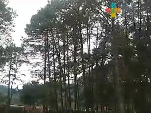 Rachas de viento causan fallas en servicio eléctrico y de telefonía en la sierra de Huayacocotla