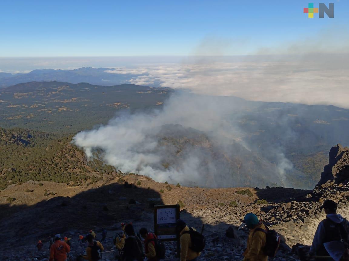 75% de control y 35% de liquidación en el incendio forestal del Parque Nacional Cofre de Perote
