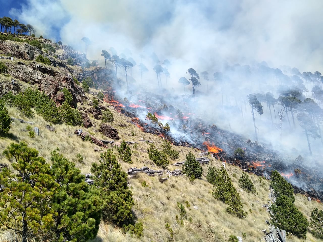 Lleva a cabo el Consejo Estatal Forestal; se han registrado 13 incendios