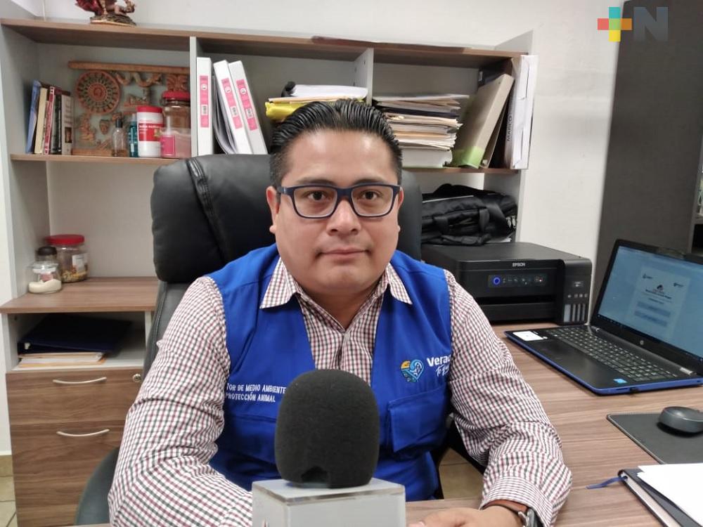 Municipio de Veracruz iniciará próximo 10 de enero   campaña «Recicla tu Navidad»