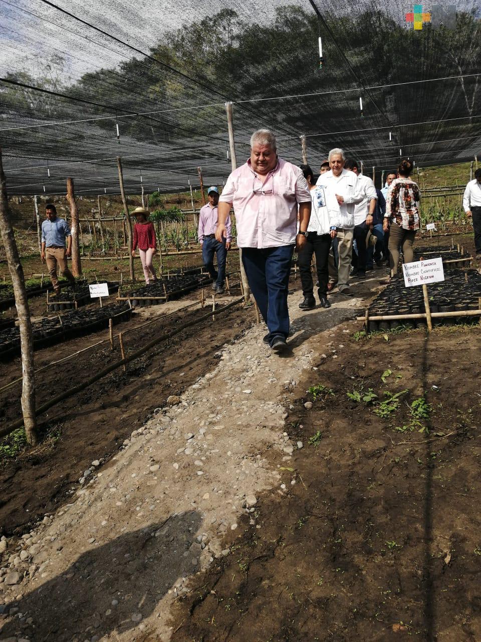 Secretarios de Bienestar y Sedatu entregan certificados agrarios a campesinos de Papantla