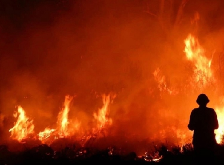 Surcorea reporta incendios forestales por fuertes vientos