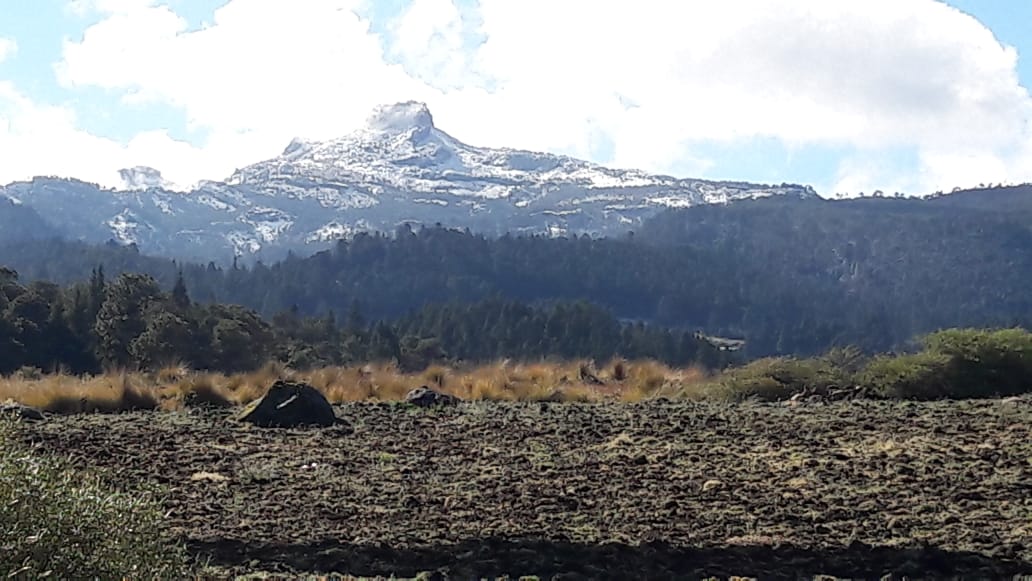 Se registra la primera nevada del año en el Cofre de Perote