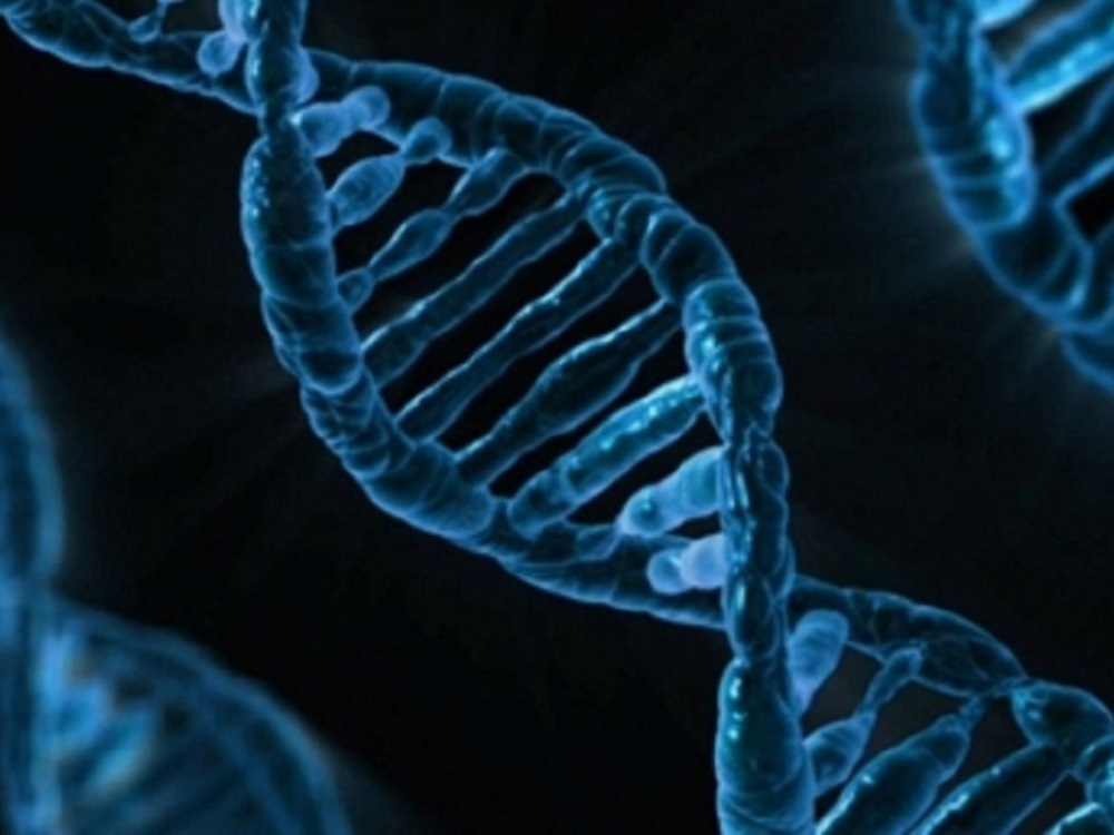 Nuevas regiones de ADN, relacionadas con el cáncer