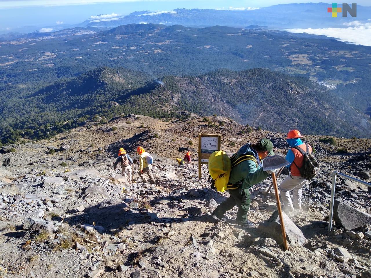 Controlado en su totalidad, el incendio forestal del Parque Nacional de Cofre de Perote