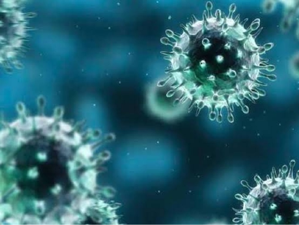 Suman 228 casos por nuevo coronavirus en China y países vecinos