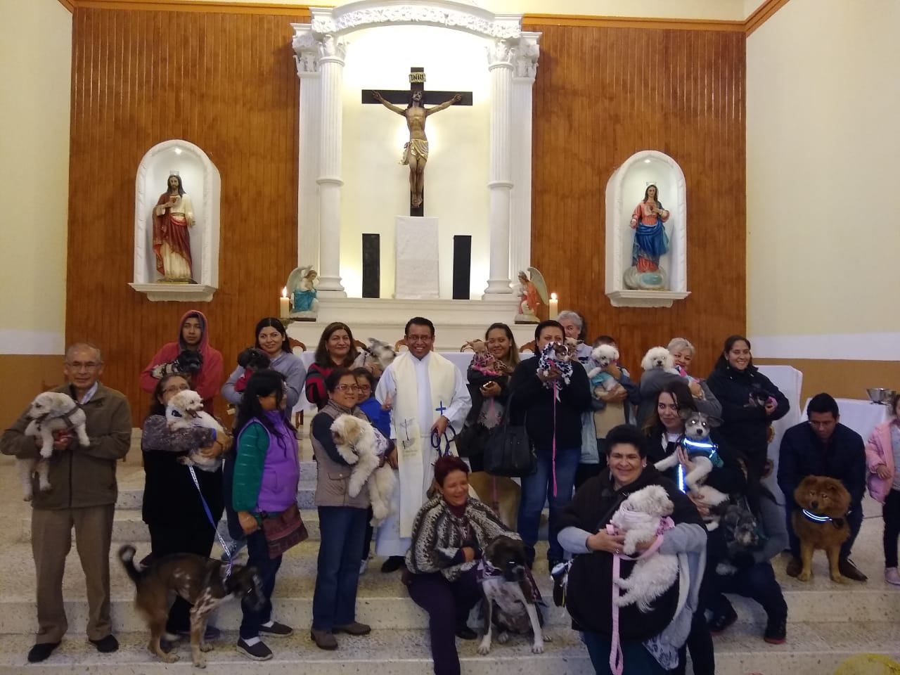 Bendecirán animales en la Rectoría Los Sagrados Corazones de Xalapa
