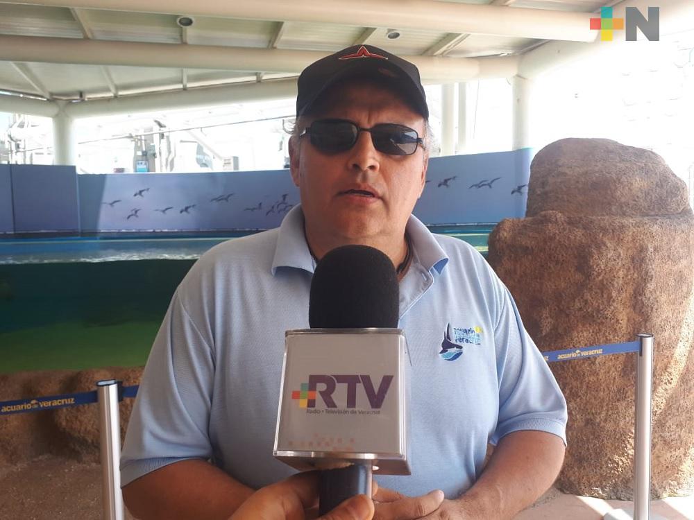 En marzo se espera lleguen primeras tortugas a desovar al parque Arrecifal