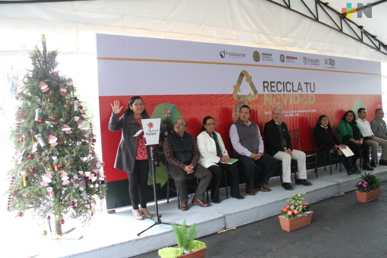Del 16 de enero al 14 de febrero, SEDEMA implementa campaña “Recicla tu Navidad”