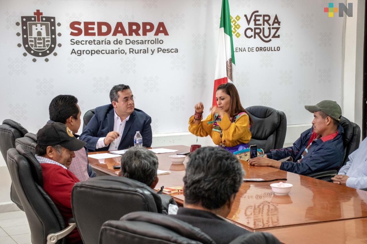 Veracruz, sede del Certamen Internacional «Taza de Excelencia» en 2020 y 2021
