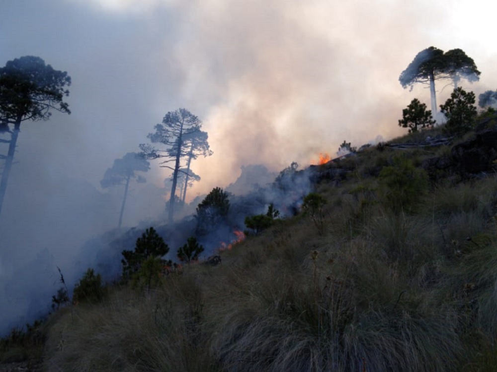 Se registra incendio en comunidad de Tembladeras, municipio de Xico