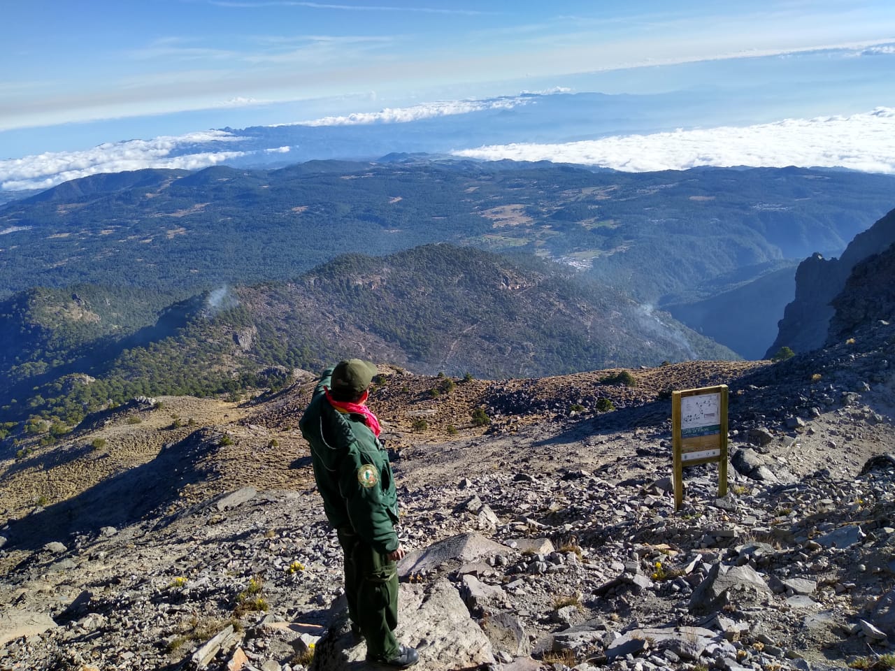 Un 90% de control y 50% de liquidación en el incendio del Parque Nacional Cofre de Perote: Equipo Estatal de Manejo de Incidentes