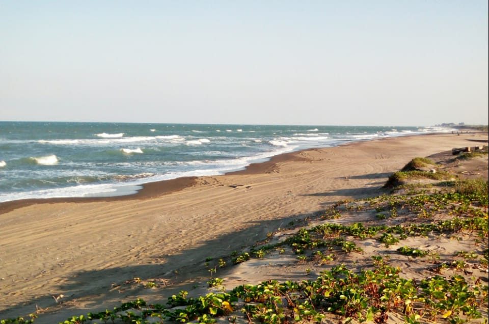 Playa Navarro, Vega de Alatorre