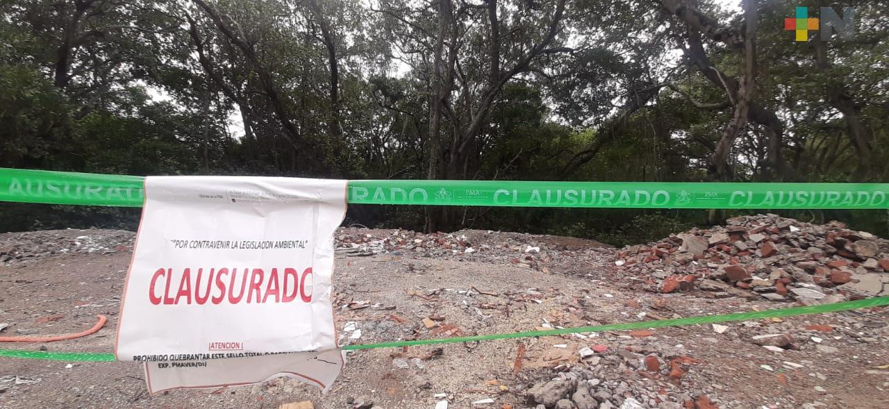 Clausuran predio por depredación de manglar en Veracruz