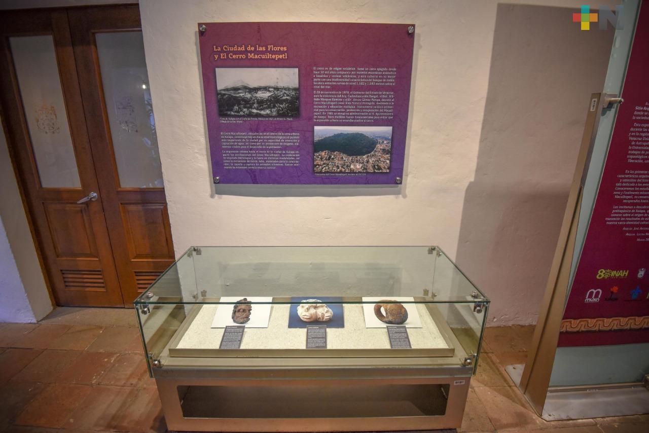 Continúa exposición Sitio Arqueológico Macuiltépetl: Redescubriendo Nuestro Pasado, en Casa Museo Xalapa