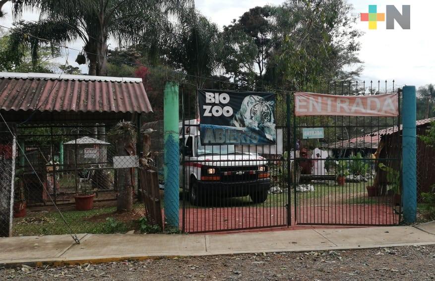 Jaguar hiere a mujer en zoológico de Córdoba