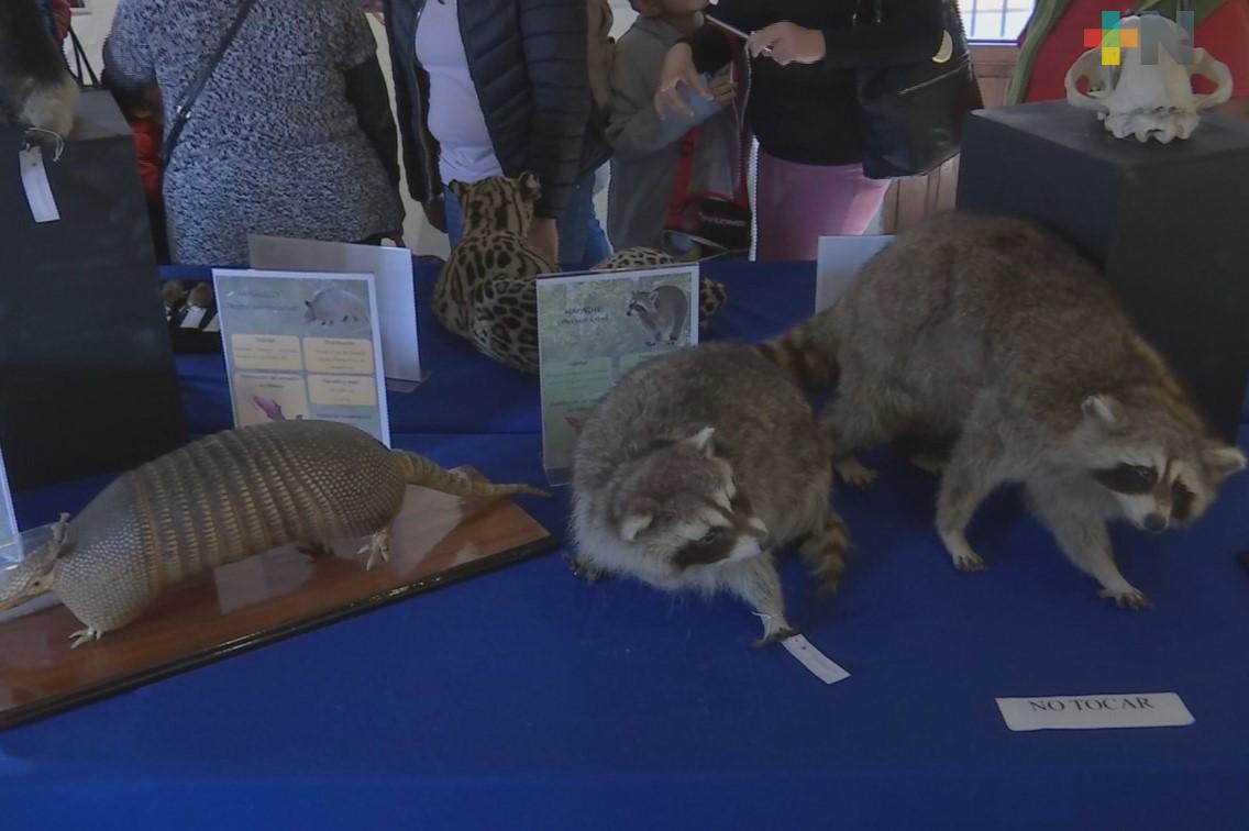 UV presenta la exposición “Biodiversidad amenazada” en CRX