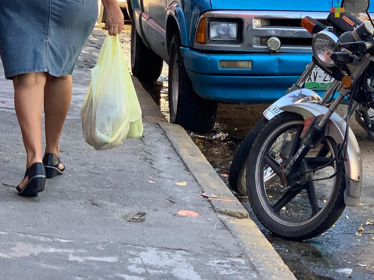 Ayuntamiento de Xalapa lanzará campaña para reducir uso de bolsas de plástico