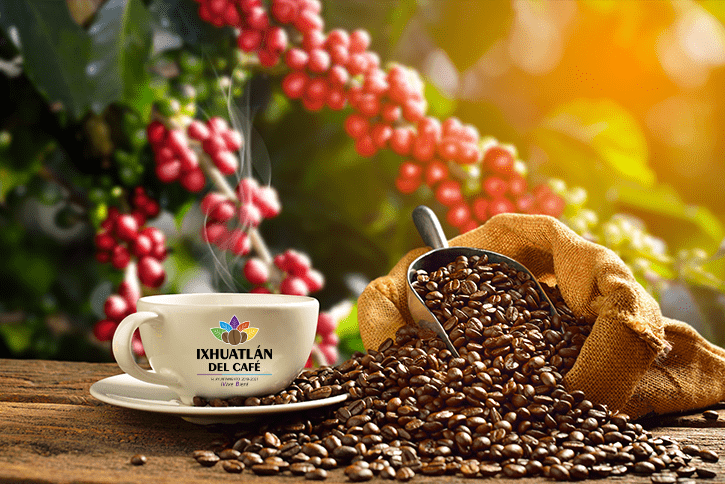 Ixhuatlán del Café, sede del Certamen Internacional «Taza de Excelencia» en 2020