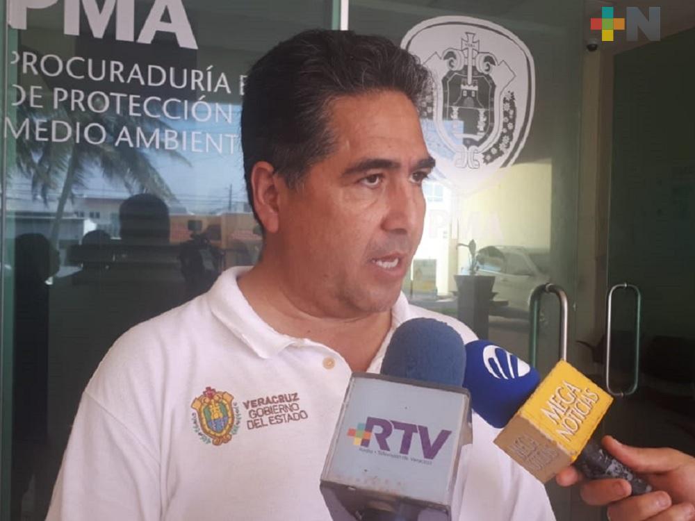 Realizarán inspección al zoológico Miguel Ángel de Quevedo para determinar muerte de animales