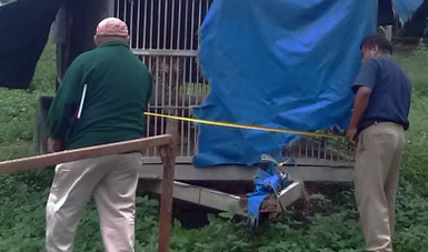 Asegura Profepa ocho ejemplares de vida silvestre en el municipio de Álamo Temapache