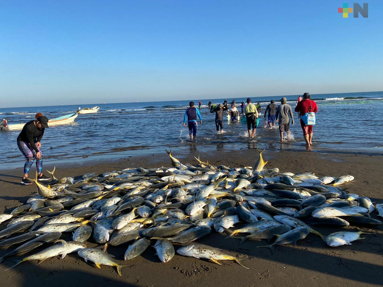 Pescadores de Coatzacoalcos tienen una mañana fructífera