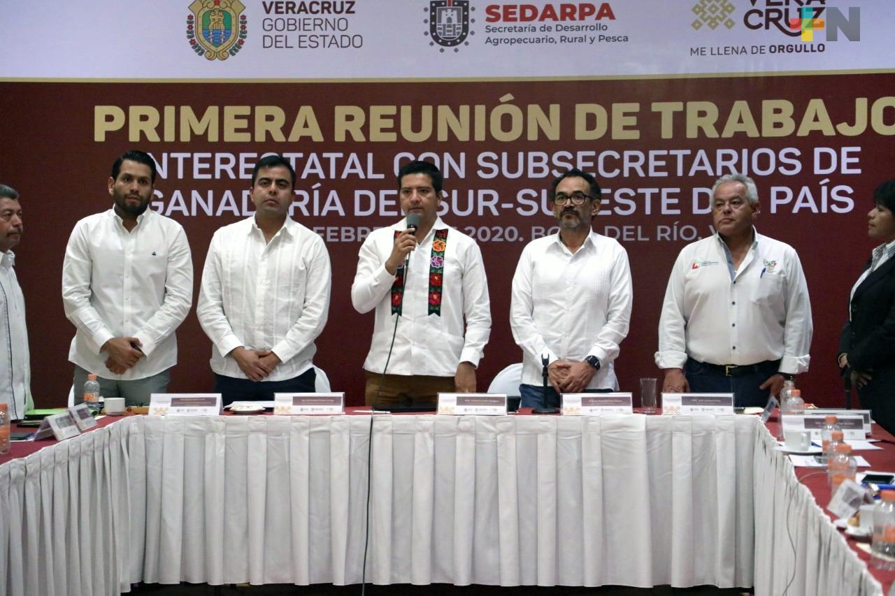 Veracruz y estados del sureste refuerzan coordinación para enfrentar el abigeato