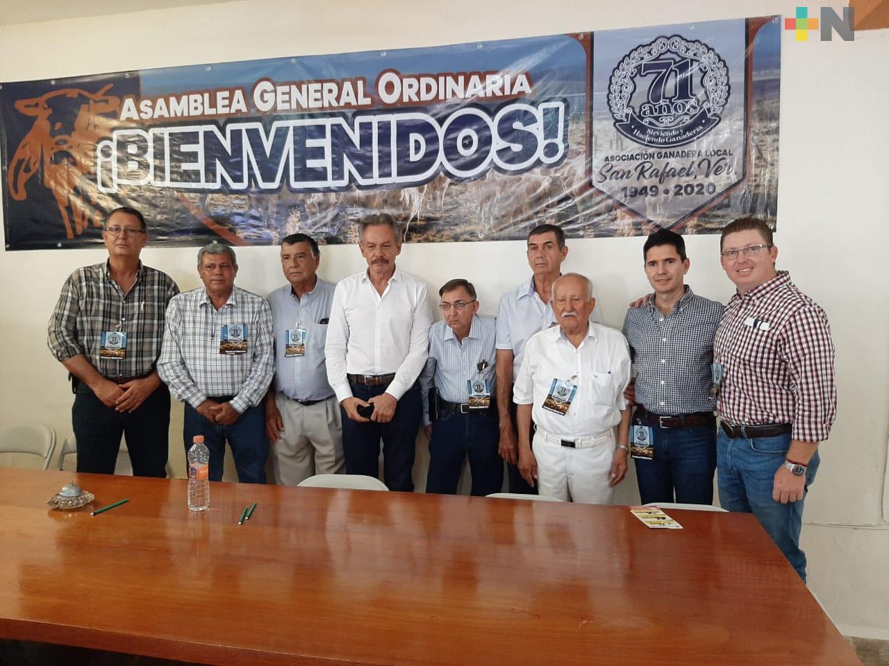 En 2019, ganadería enfrentó sequía, falta de precio y contrabando de ganado: Asociación ganadera de San Rafael