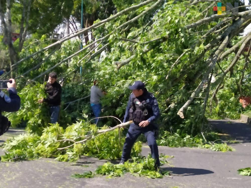 Brigadistas realizaron más de 20 acciones para liberar vialidades en Xalapa