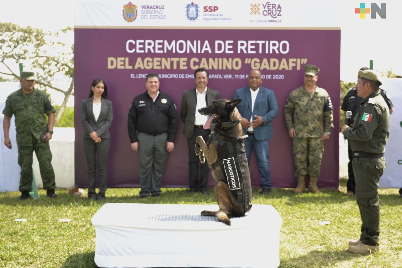 Con honores, retira Fuerza Civil al agente canino “Gadafi”, tras ocho años de servicio