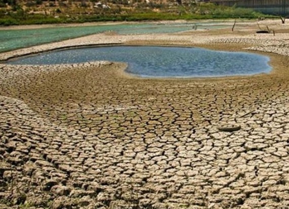 Causa escasez de agua la mayor crisis humanitaria en África