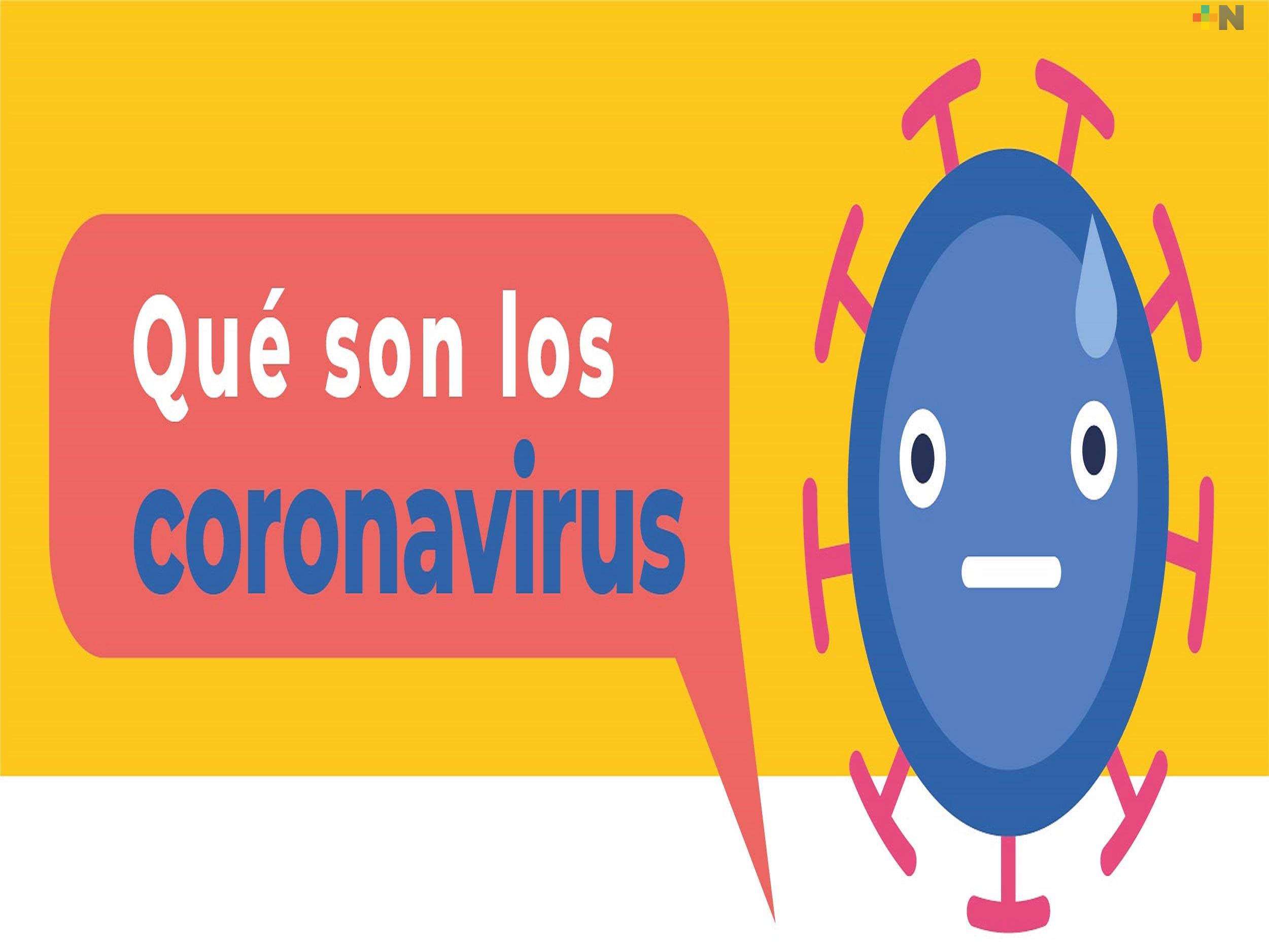 Todo lo que debes saber del coronavirus (Covid-19)