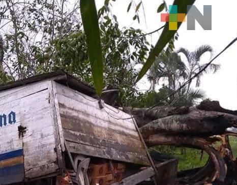 Reportan daños por el paso del FF 41 en Martínez de la Torre