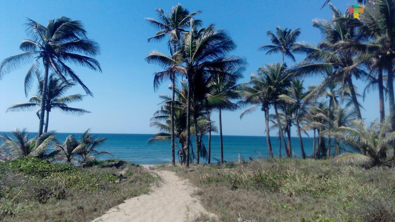 Playas del ejido Guillermo Prieto de Coatzacoalcos, una opción para próximo periodo vacacional