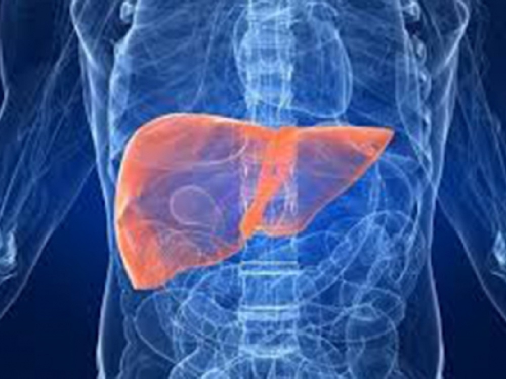 El hígado graso podría estar afectando a más del 40% de mexicanos