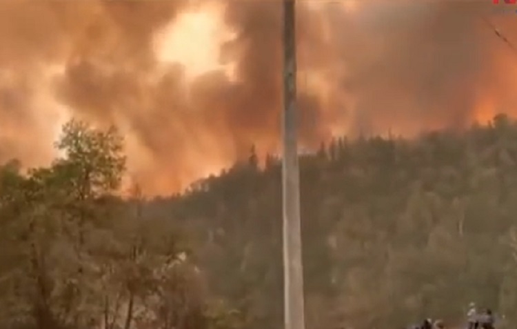 Activan alerta roja por incendios forestales en Chile