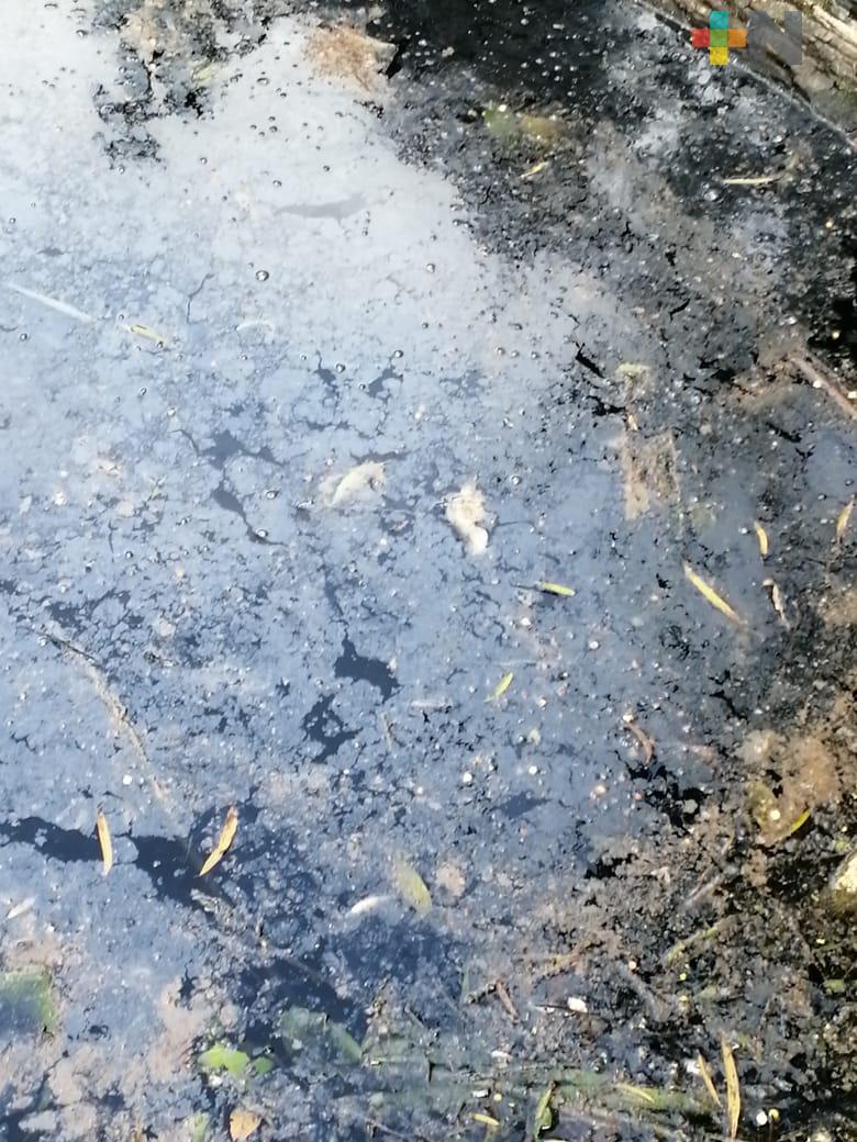 Reportan contaminación del arroyo La Bacinica en el municipio de San Rafael