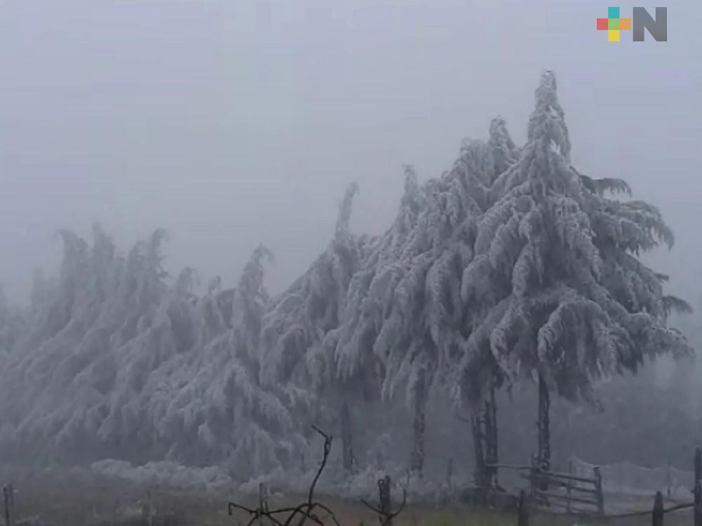 Frente Frío 41 deja temperatura de -1º centígrado en sierra de Huayacocotla