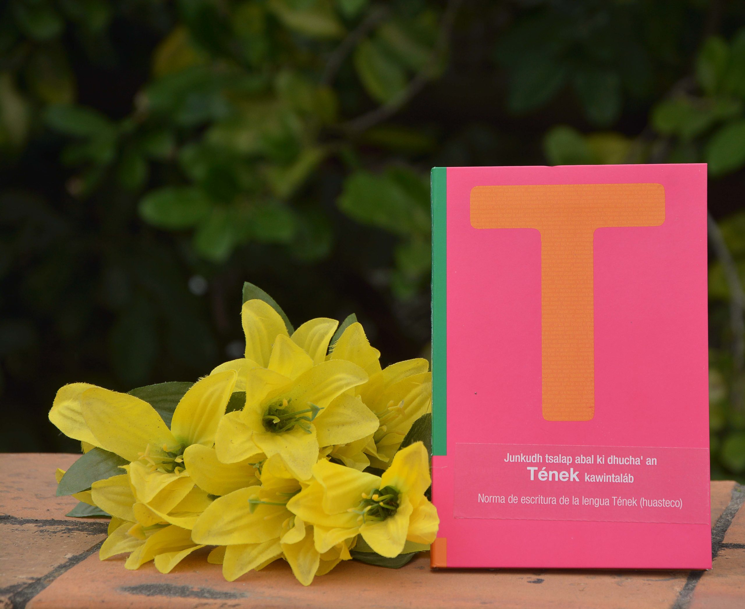 Apoya IVEC en la difusión de la Norma de Escritura de la Lengua Tének