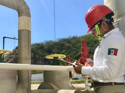 Pemex ejerció 66% de inversión en desarrollo en 2019
