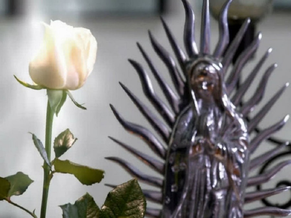 Si nos critican es que nos ven: Productor de «La rosa de Guadalupe»